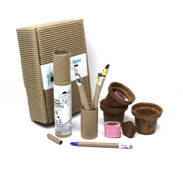 GrowSolo GIY Stationery Box (5 pens + 3 pots) - Eco Corporate Gift