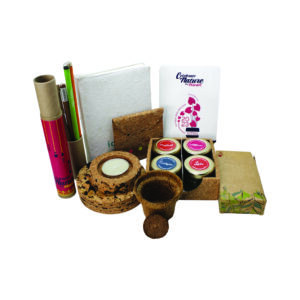 Eco goodness L - Sustainable Diwali Gift Set