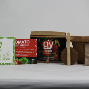 Eco Corporate Gift Eco-Friendly Plant Kit - Grow Solo Square